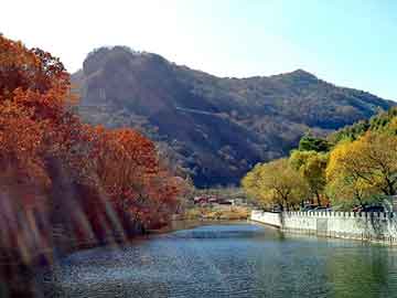 澳门期期准免费精准，岫岩玉价格